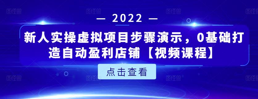 新人实操虚拟项目步骤演示，0基础打造自动盈利店铺【视频课程】-九节课