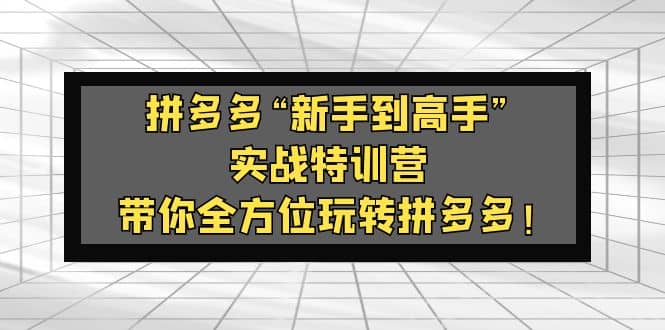 拼多多“新手到高手”实战特训营：带你全方位玩转拼多多-九节课