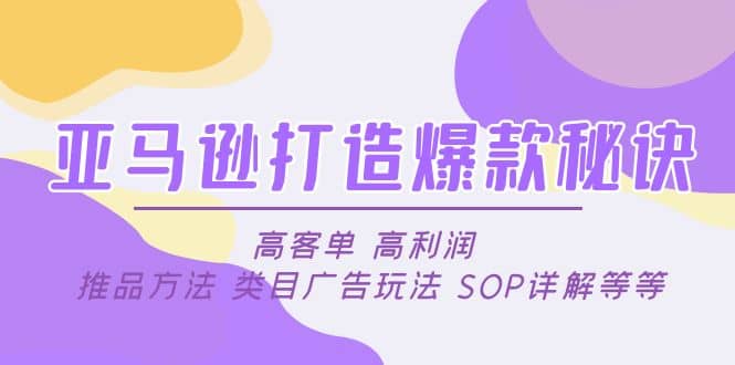 亚马逊打造爆款秘诀：高客单 高利润 推品方法 类目广告玩法 SOP详解等等-九节课