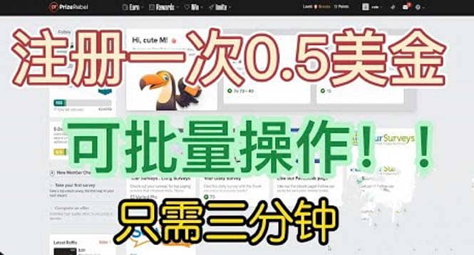 国外项目注册一次0.5美金 只需三分钟无脑操作 可批量放大 小白工作室福利-九节课