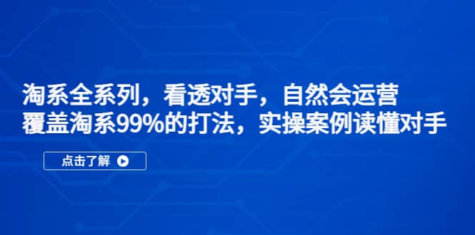 淘系全系列，看透对手，自然会运营，覆盖淘系99%·打法，实操案例读懂对手-九节课