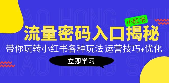 小红书流量密码入口揭秘：带你玩转小红书各种玩法 运营技巧+优化-九节课