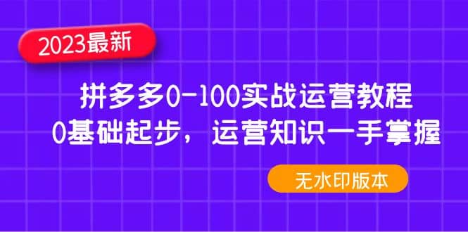 2023拼多多0-100实战运营教程，0基础起步，运营知识一手掌握（无水印）-九节课