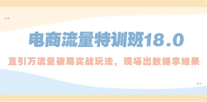 电商流量特训班18.0，直引万流量破局实操玩法，现场出数据拿结果-九节课