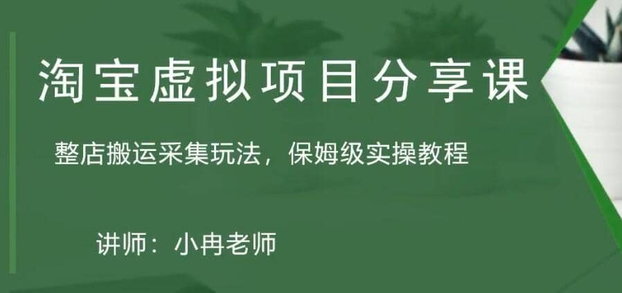 淘宝虚拟整店搬运采集玩法分享课：整店搬运采集玩法，保姆级实操教程-九节课