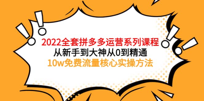 2022全套拼多多运营课程，从新手到大神从0到精通，10w免费流量核心实操方法-九节课