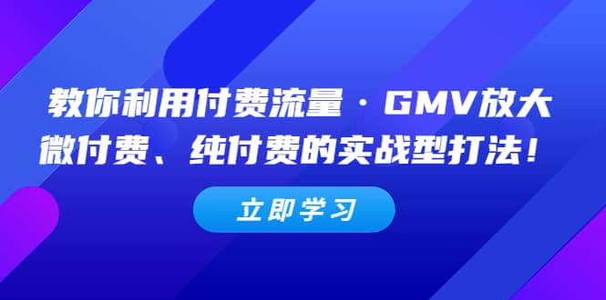 教你利用付费流量·GMV放大，微付费、纯付费的实战型打法-九节课