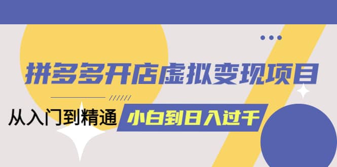 拼多多开店虚拟变现项目：入门到精通 从小白到日入1000（完整版）4月10更新-九节课