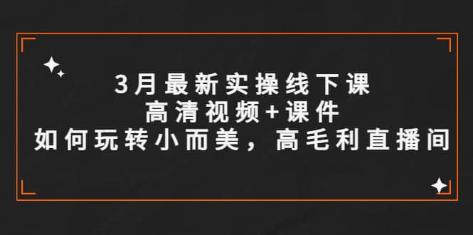 3月最新实操线下课高清视频+课件，如何玩转小而美，高毛利直播间-九节课