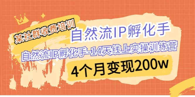 某社群收费培训：自然流IP 孵化手-14天线上实操训练营 4个月变现200w-九节课