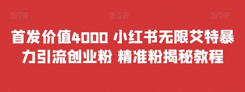 首发价值4000 小红书无限艾特暴力引流创业粉 精准粉揭秘教程-九节课