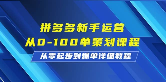 拼多多新手运营从0-100单策划课程，从零起步到爆单详细教程-九节课