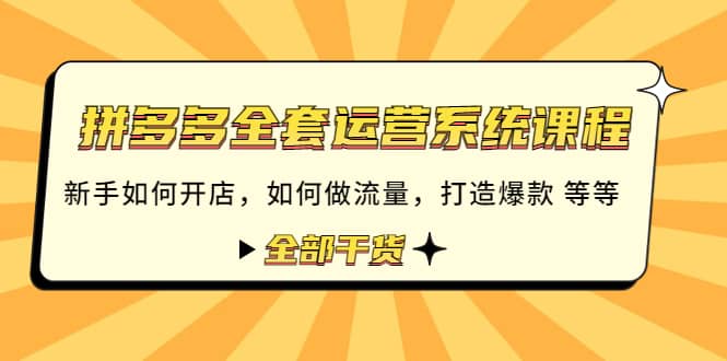 拼多多全套运营系统课程：新手如何开店 如何做流量 打造爆款 等等 全部干货-九节课