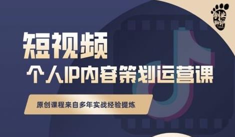 抖音短视频个人ip内容策划实操课，真正做到普通人也能实行落地-九节课