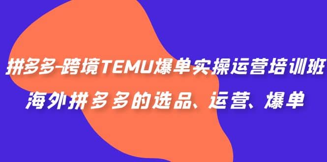 拼多多-跨境TEMU爆单实操运营培训班，海外拼多多的选品、运营、爆单-九节课