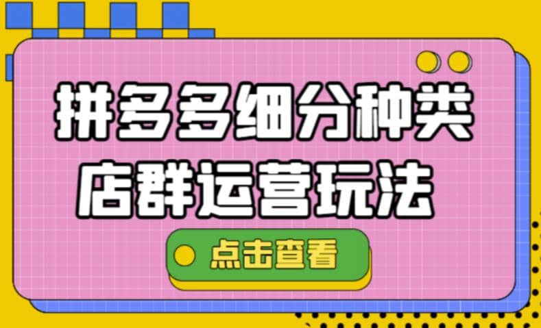 拼多多细分种类店群运营玩法3.0，11月最新玩法，小白也可以操作-九节课