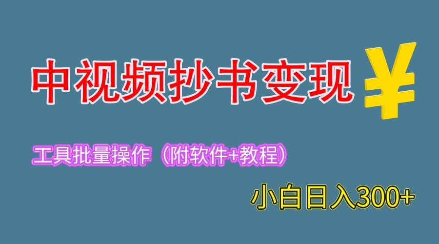 2023中视频抄书变现（附工具+教程），一天300+，特别适合新手操作的副业-九节课