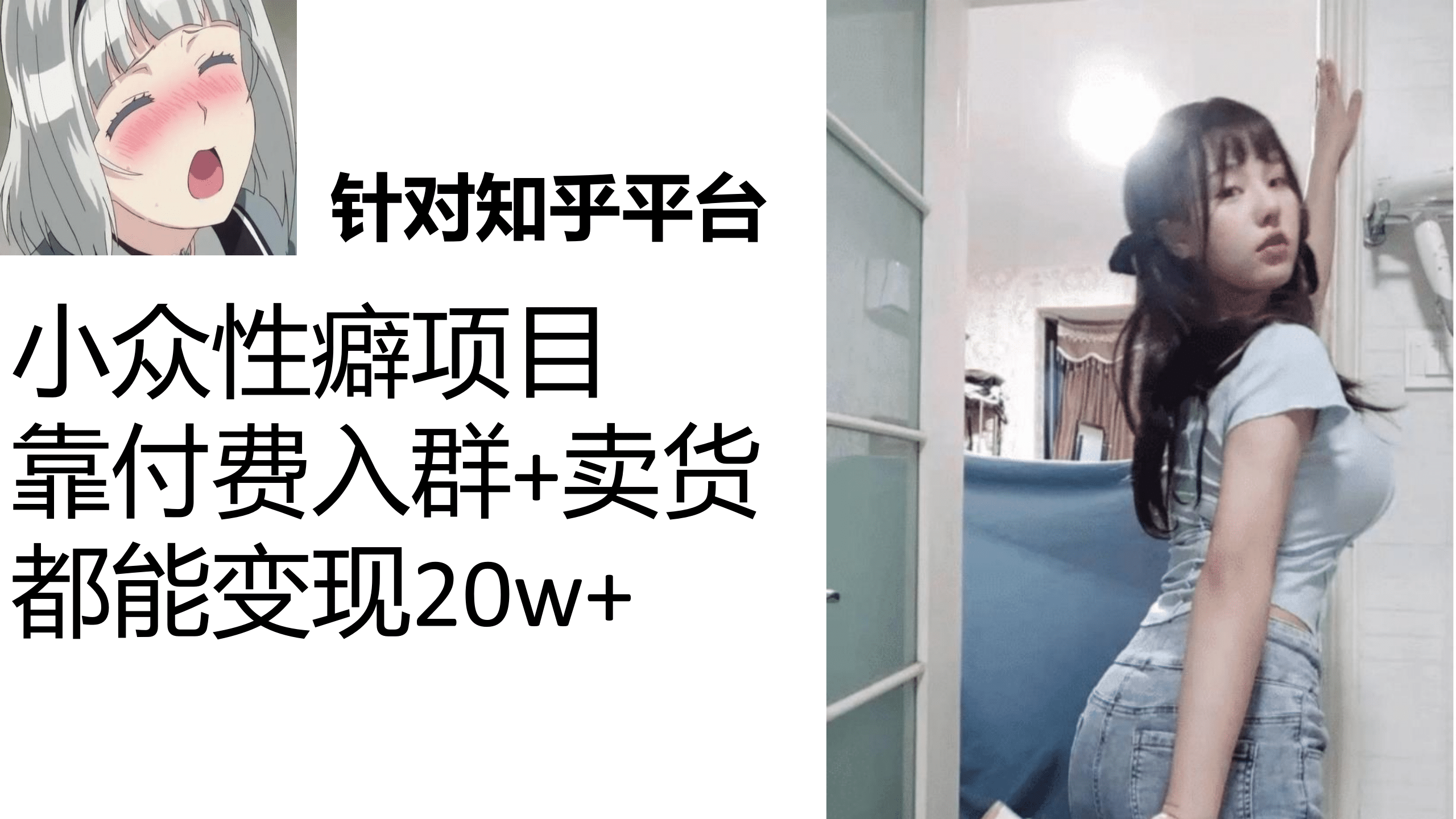 知乎小众性癖项目，Lsp的钱才是最好赚的，付费建群+卖货变现20w-九节课