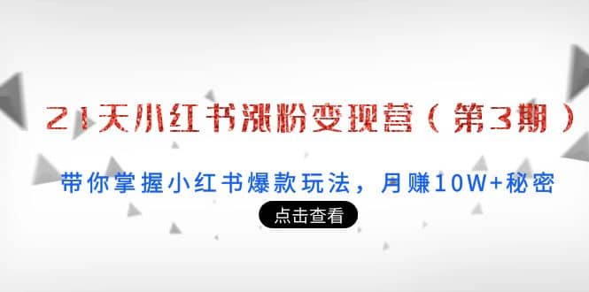 21天小红书涨粉变现营（第3期）：带你掌握小红书爆款玩法，月赚10W+秘密-九节课