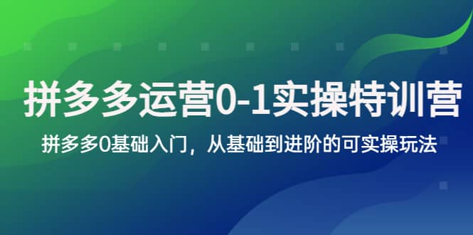 拼多多-运营0-1实操训练营，拼多多0基础入门，从基础到进阶的可实操玩法-九节课