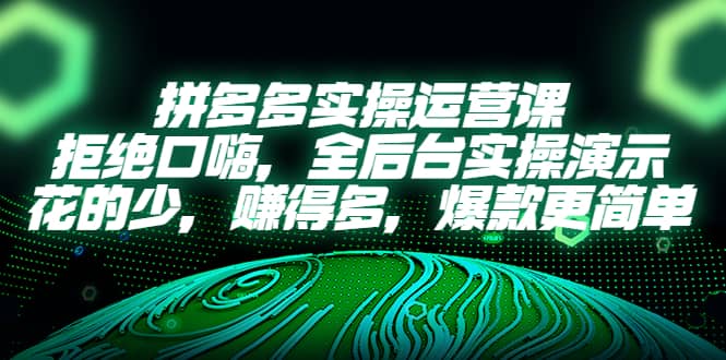 拼多多实操运营课：拒绝口嗨，全后台实操演示，花的少，赚得多，爆款更简单-九节课