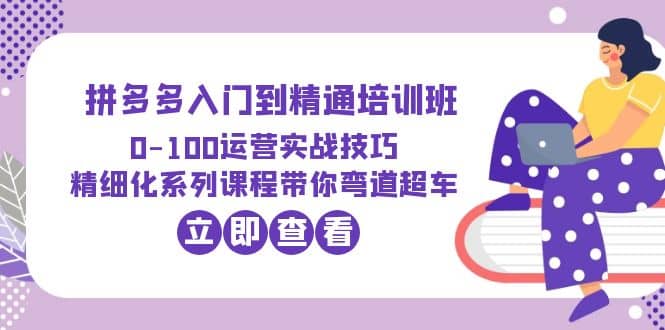 2023拼多多入门到精通培训班：0-100运营实战技巧 精细化系列课带你弯道超车-九节课