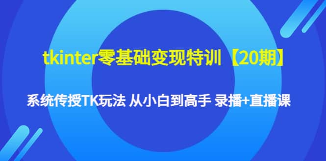 tkinter零基础变现特训【20期】系统传授TK玩法 从小白到高手 录播+直播课-九节课