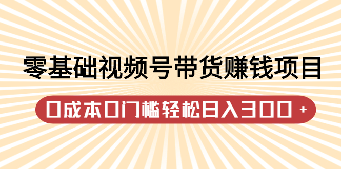 零基础视频号带货赚钱项目，0成本0门槛轻松日入300+【视频教程】-九节课