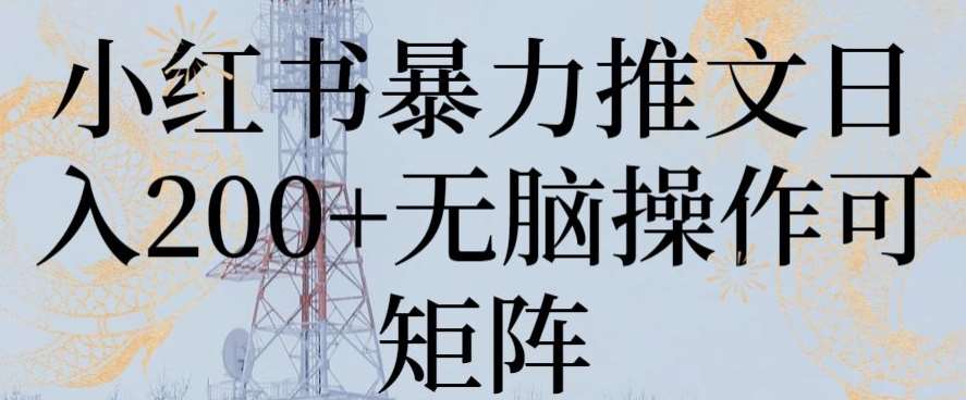 小红书暴力推文日入200+无脑操作可矩阵【揭秘】-九节课