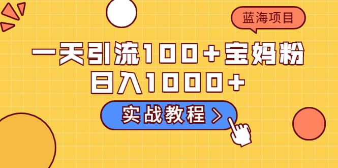 一天引流100+宝妈粉，日入1000+的蓝海项目（实战教程）-九节课