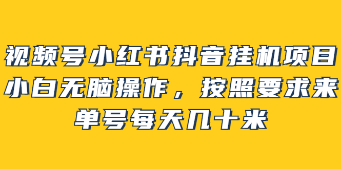 视频号小红书抖音挂机项目，小白无脑操作，按照要求来，单号每天几十米-九节课