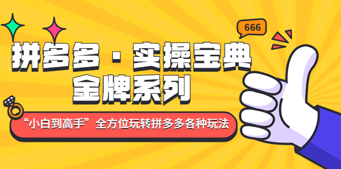 拼多多·实操宝典：金牌系列“小白到高手”带你全方位玩转拼多多各种玩法-九节课