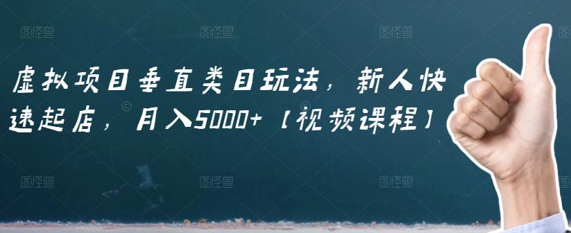 虚拟项目垂直类目玩法，新人快速起店，月入5000+【视频课程】-九节课