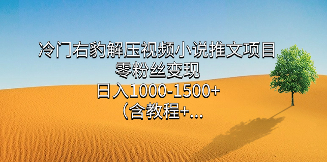 冷门右豹解压视频小说推文项目，零粉丝变现，日入1000-1500+（含教程）-九节课