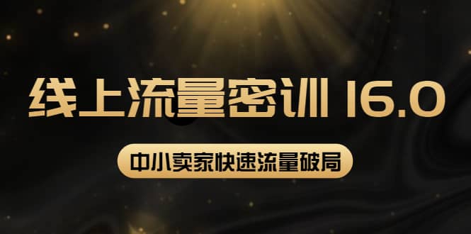 2022秋秋线上流量密训16.0：包含 暴力引流10W+中小卖家流量破局技巧 等等！-九节课