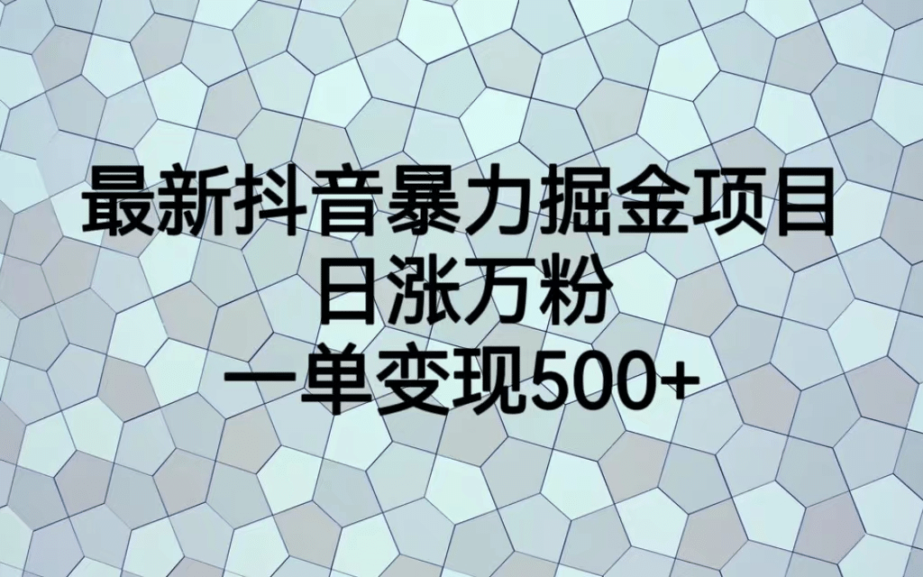 最火热的抖音暴力掘金项目，日涨万粉，多种变现方式，一单变现可达500+-九节课