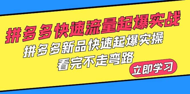 拼多多-快速流量起爆实战，拼多多新品快速起爆实操，看完不走弯路-九节课