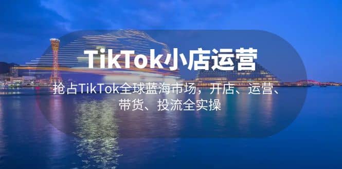 TikTok小店运营 抢占TikTok全球蓝海市场，开店、运营、带货、投流全实操-九节课