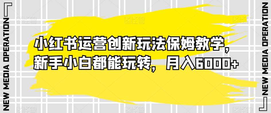 小红书运营创新玩法保姆教学，新手小白都能玩转，月入6000+【揭秘】-九节课