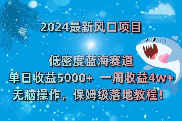 （8545期）2024最新风口项目 低密度蓝海赛道，日收益5000+周收益4w+ 无脑操作，保…-九节课