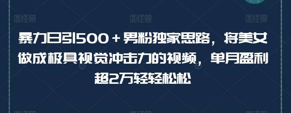 暴力日引500＋男粉独家思路，将美女做成极具视觉冲击力的视频，单月盈利超2万轻轻松松-九节课