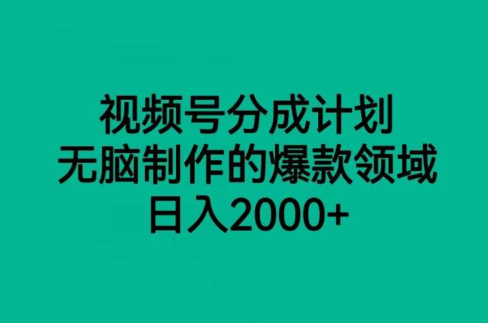 视频号分成计划，无脑制作的爆款领域，日入2000+-九节课