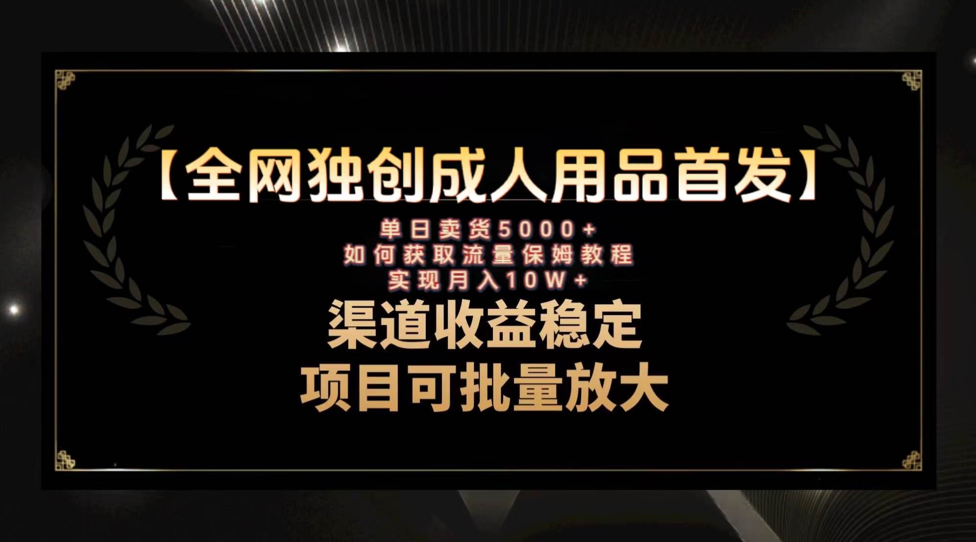 最新全网独创首发，成人用品赛道引流获客，月入10w保姆级教程-九节课