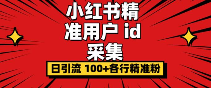 小白都会用的小红书精准用户id采集器日引流精准粉可达到100+（软件+教程）-九节课