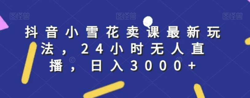 抖音小雪花卖课最新玩法，24小时无人直播，日入3000+【揭秘】-九节课