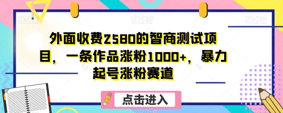 外面收费2580的智商测试项目，一条作品涨粉1000+，暴力起号涨粉赛道【揭秘】-九节课