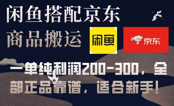 闲鱼搭配京东备份库搬运，一单纯利润200-300，全部正品靠谱，适合新手！-九节课