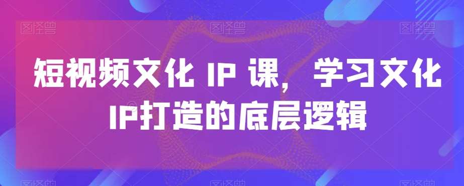 短视频文化IP课，学习文化IP打造的底层逻辑-九节课