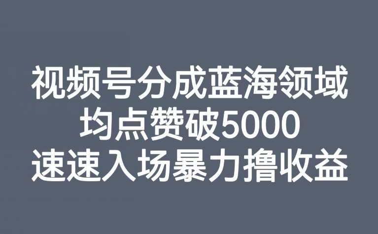 视频号分成蓝海领域，均点赞破5000，速速入场暴力撸收益-九节课