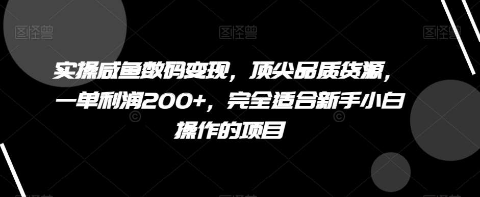 实操咸鱼数码变现，顶尖品质货源，一单利润200+，完全适合新手小白操作的项目【揭秘】-九节课